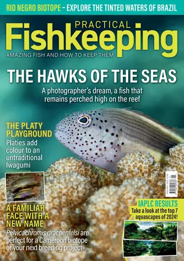 Practical Fishkeeping Preview