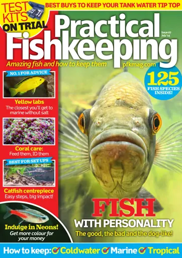 Practical Fishkeeping Preview