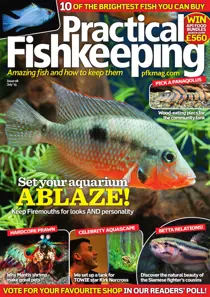 July 2015 
                issue July 2015