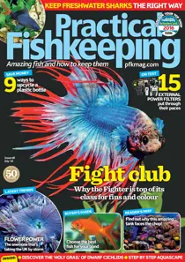 July 2016 
                issue July 2016