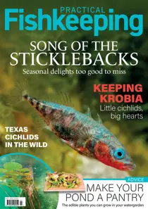 July 2023 
                issue July 2023