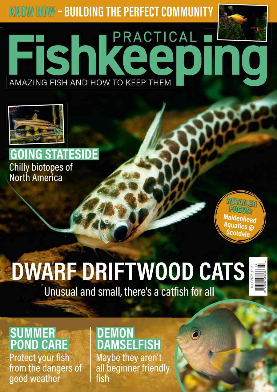 PRACTICAL FISHKEEPING