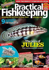 June 2015 
                issue June 2015