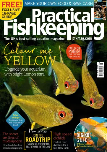 Practical Fishkeeping Preview