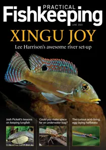 June 2023 
                issue June 2023