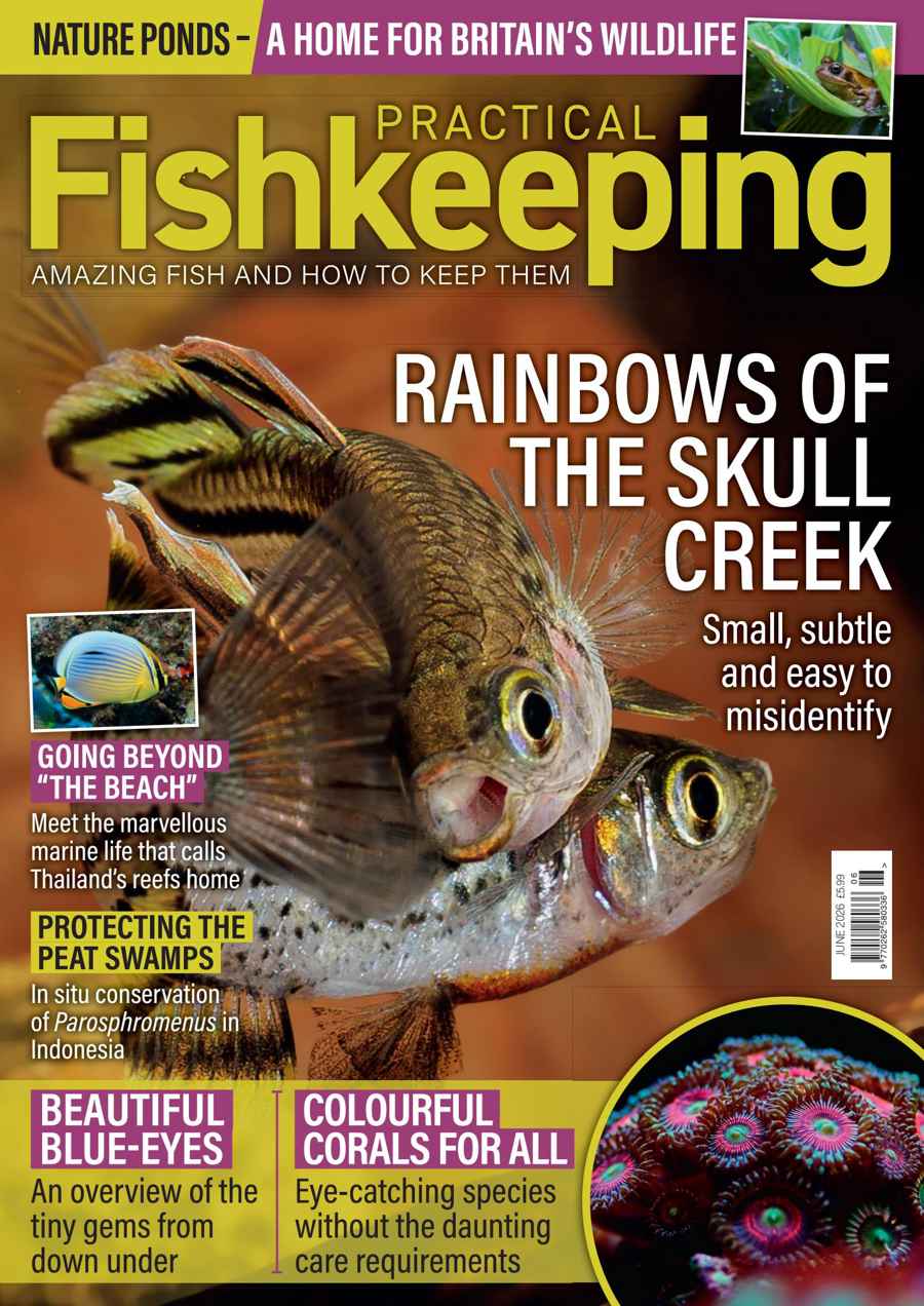 Practical Fishkeeping issue June 2026