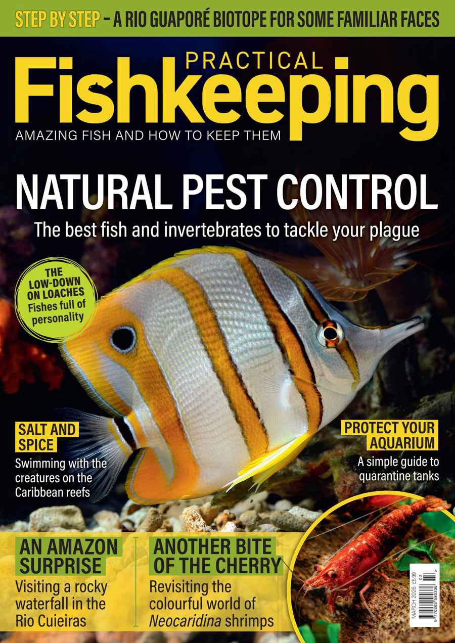 Practical Fishkeeping issue March 2026