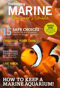 Practical Fishkeeping Marine Beginner's Guide