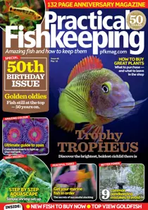 May 2016 
                issue May 2016