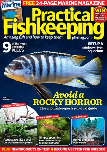 Practical Fishkeeping Preview