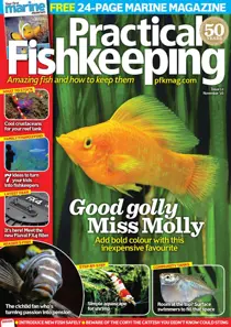 November 2016 
                issue November 2016