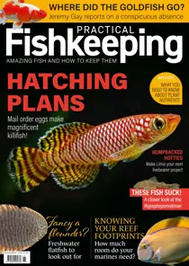 Practical Fishkeeping November 2023