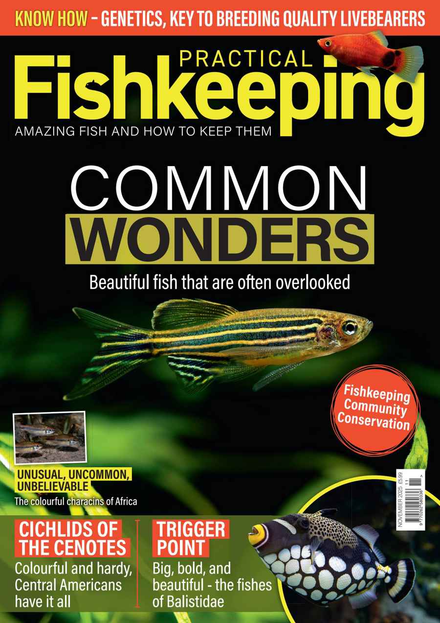 PRACTICAL FISHKEEPING