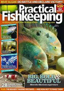 October 2015 
                issue October 2015