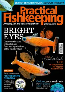 October 2017 
                issue October 2017