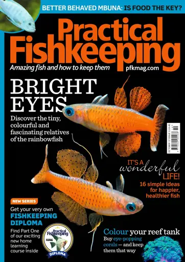 Practical Fishkeeping Preview