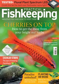 Practical Fishkeeping October 2023