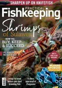 Practical Fishkeeping April 2022 
                issue Practical Fishkeeping April 2022