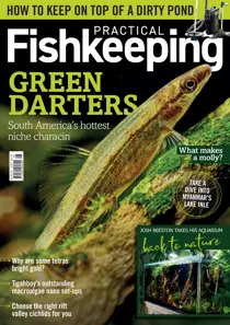 Practical Fishkeeping August 2022 
                issue Practical Fishkeeping August 2022