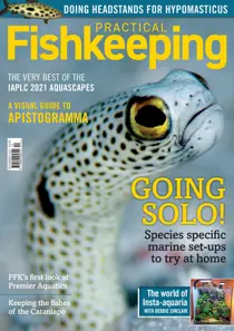 Practical Fishkeeping December 2021 
                issue Practical Fishkeeping December 2021