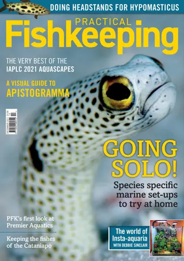 Practical Fishkeeping Preview