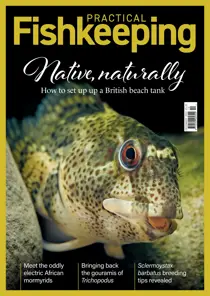 Practical Fishkeeping December 2022 
                issue Practical Fishkeeping December 2022