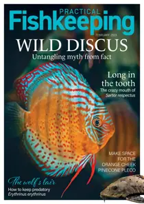 Practical Fishkeeping February 2023 
                issue Practical Fishkeeping February 2023