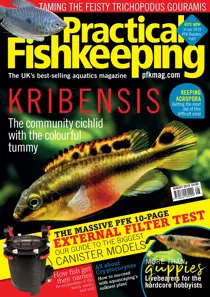 Practical Fishkeeping Magazine August 2019 
                issue Practical Fishkeeping Magazine August 2019