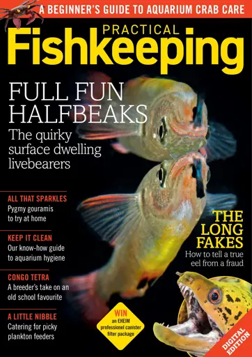Practical Fishkeeping Preview