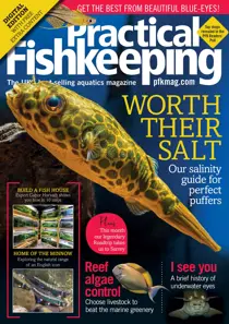 Practical Fishkeeping Magazine December 2019 
                issue Practical Fishkeeping Magazine December 2019