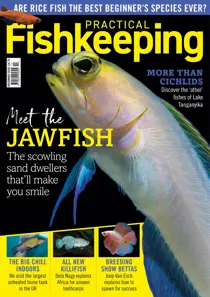 Practical Fishkeeping Magazine December 2020 
                issue Practical Fishkeeping Magazine December 2020