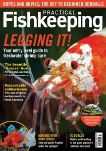 Practical Fishkeeping Magazine February 2021 
                issue Practical Fishkeeping Magazine February 2021