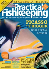 Practical Fishkeeping Magazine January 2020 
                issue Practical Fishkeeping Magazine January 2020