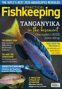 Practical Fishkeeping Magazine January 2021 
                issue Practical Fishkeeping Magazine January 2021