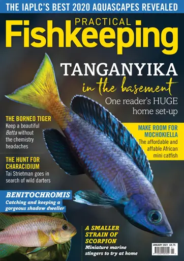 Practical Fishkeeping Preview