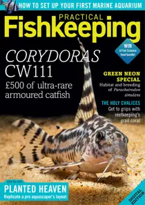 Practical Fishkeeping Magazine July 2020 
                issue Practical Fishkeeping Magazine July 2020