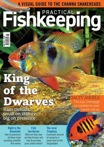 Practical Fishkeeping Preview