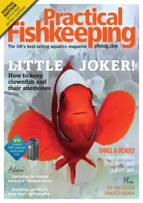 Practical Fishkeeping Magazine March 2020 
                issue Practical Fishkeeping Magazine March 2020