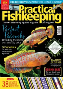 Practical Fishkeeping Magazine May 2019 
                issue Practical Fishkeeping Magazine May 2019