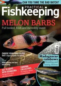 Practical Fishkeeping Magazine May 2021 
                issue Practical Fishkeeping Magazine May 2021