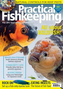 Practical Fishkeeping FREE Sample Issue