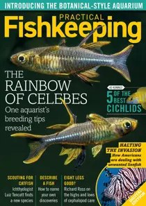 Practical Fishkeeping Magazine November 2020 
                issue Practical Fishkeeping Magazine November 2020