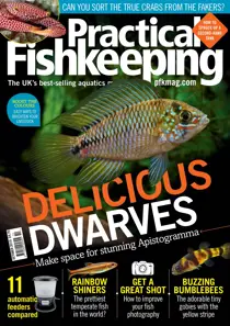 Practical Fishkeeping Magazine October 2019 
                issue Practical Fishkeeping Magazine October 2019