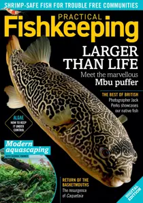 Practical Fishkeeping Magazine October 2020 
                issue Practical Fishkeeping Magazine October 2020