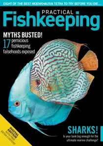 Practical Fishkeeping Magazine Spring 2020 
                issue Practical Fishkeeping Magazine Spring 2020