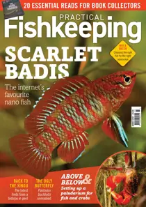 Practical Fishkeeping March 2021 
                issue Practical Fishkeeping March 2021