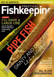 Practical Fishkeeping May 2020 
                issue Practical Fishkeeping May 2020