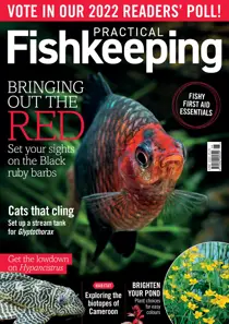 Practical Fisshkeeping June 2022 
                issue Practical Fisshkeeping June 2022