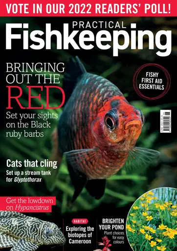 Practical Fishkeeping Preview