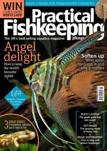 September 2018 
                issue September 2018